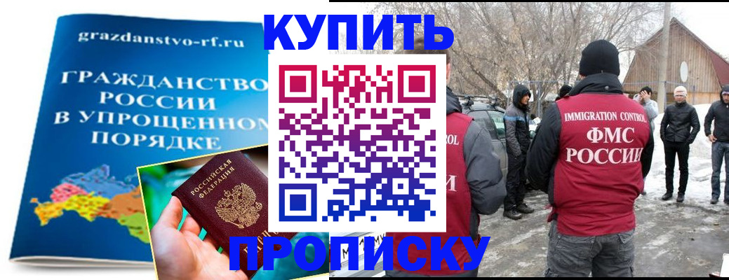 временная регистрация поиск в Светлогорске